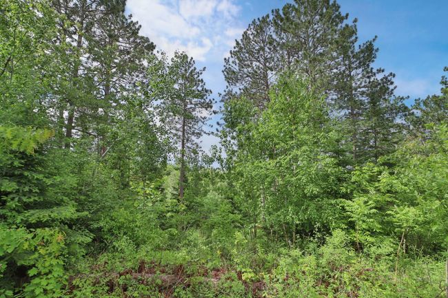 21097 Gilmer Rd, House other with 2 bedrooms, 1 bathrooms and null parking in Crosby MN | Image 36