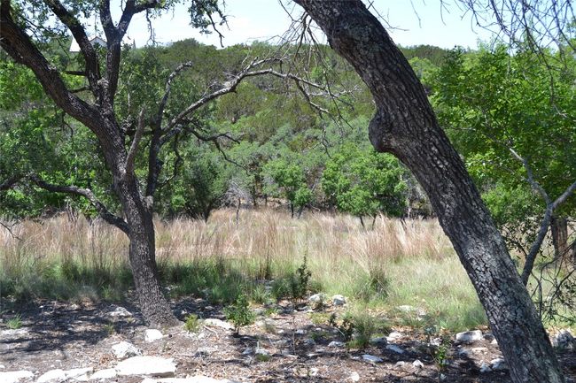 560 Longview Rd, Home with 0 bedrooms, 0 bathrooms and null parking in Dripping Springs TX | Image 34