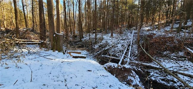 Lot 81.4 County Road 114, Home with 0 bedrooms, 0 bathrooms and null parking in Cochecton NY | Image 13