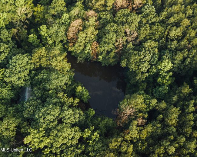 JG Puckett Cabin Drone-4 | Image 6