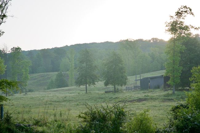 40.46AC Barker Cove Loop, Home with 1 bedrooms, 1 bathrooms and null parking in Palmer TN | Image 25