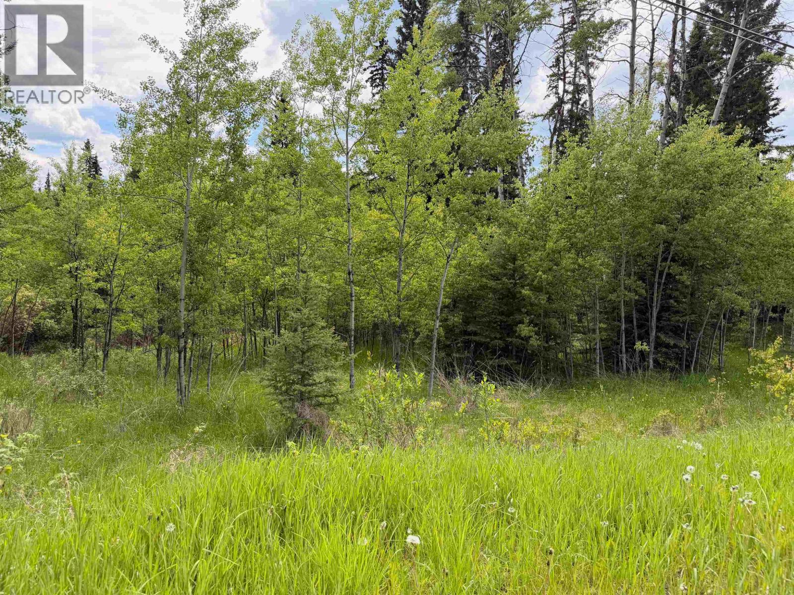 Land in Horse Lake 5