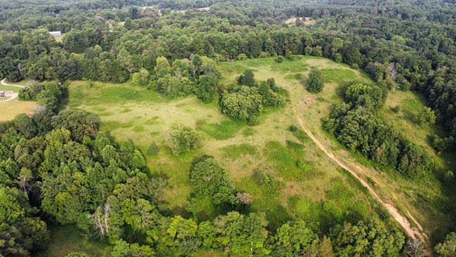 33.64 ac Davis Rd, Home with 0 bedrooms, 0 bathrooms and null parking in Livingston TN | Image 20