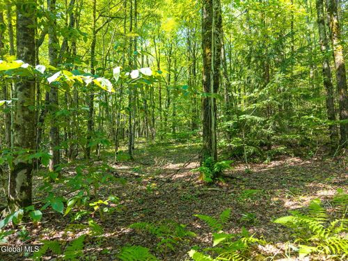 135 Dragoo Rd, Schenevus, NY, 12155-1735 | Card Image