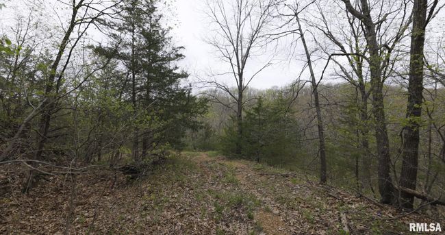 0 N Chambers Rd, Home with 0 bedrooms, 0 bathrooms and null parking in Smithfield IL | Image 25