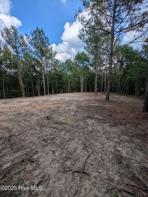 Tbd Peyton Drive, Eagle Springs, NC, 27242 | Card Image