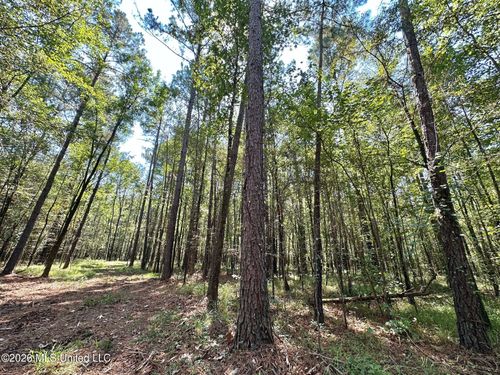 6 Forest Service Road 562, Pulaski, MS, 39152 | Card Image