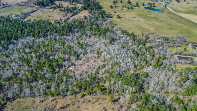 35 Old Sign Rd, Home with 1 bedrooms, 1 bathrooms and null parking in Midway TX | Image 20