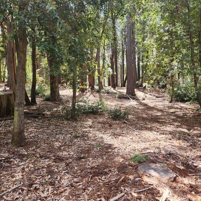 11254 Winding Way, Home with 0 bedrooms, 0 bathrooms and null parking in Clipper Mills CA | Image 7
