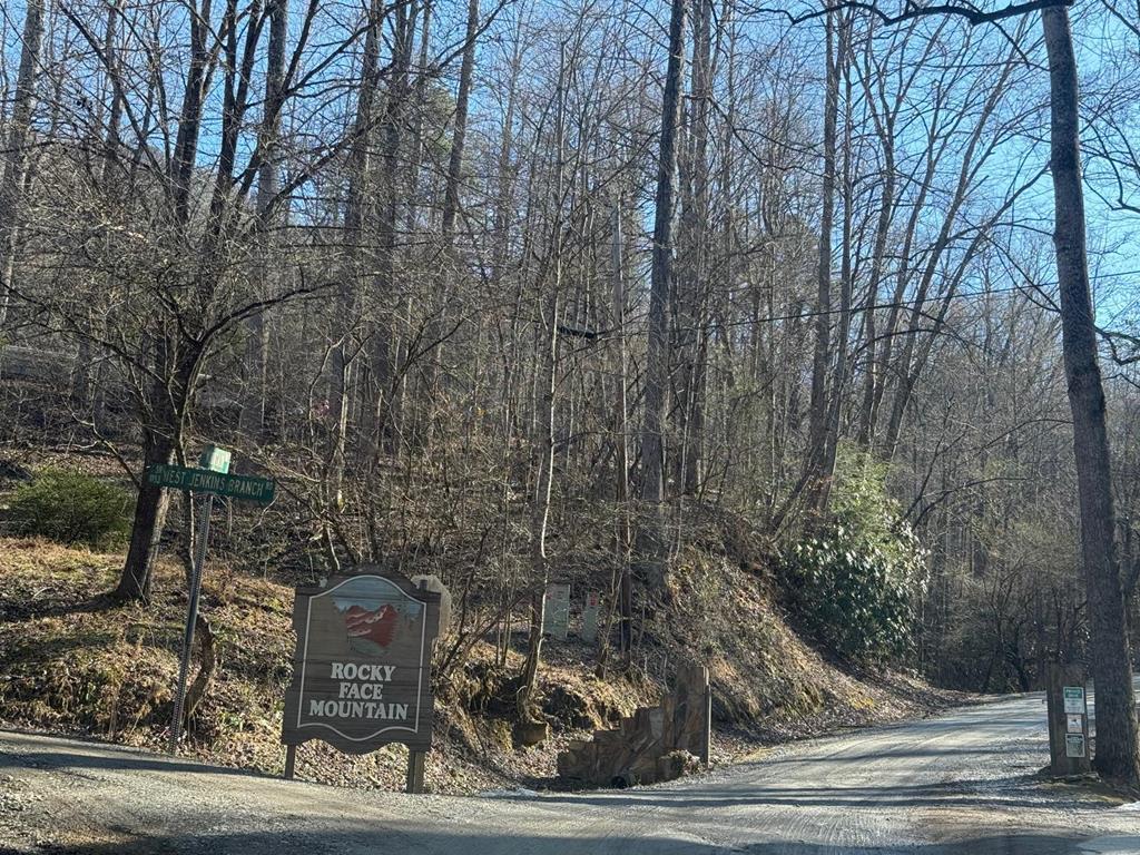Land in Bryson City 4