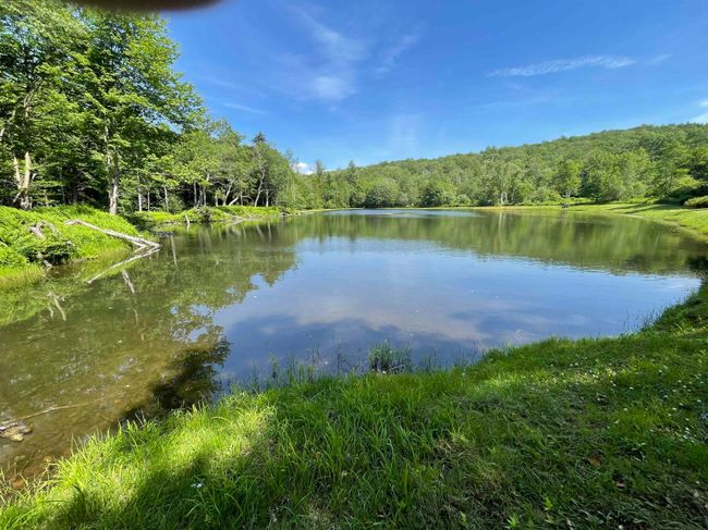 140 Odonnell Dr, House other with 4 bedrooms, 3 bathrooms and null parking in Readsboro VT | Image 28