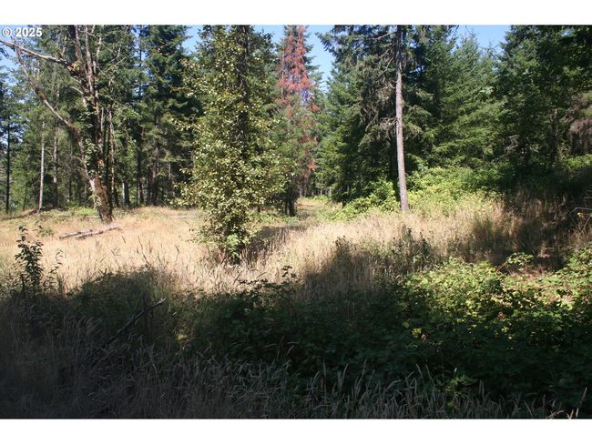 3647 Briar Knob Loop Ne, Home with 0 bedrooms, 0 bathrooms and null parking in Scotts Mills OR | Image 12