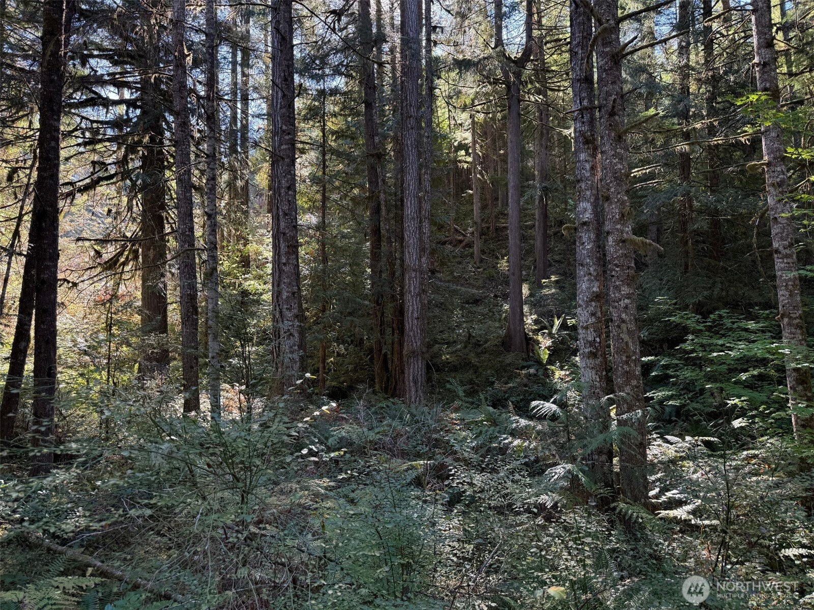 Land in Marblemount 5