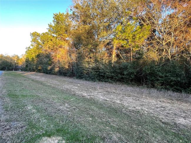 28921 Mustang Dr, Home with 0 bedrooms, 0 bathrooms and null parking in Waller TX | Image 7
