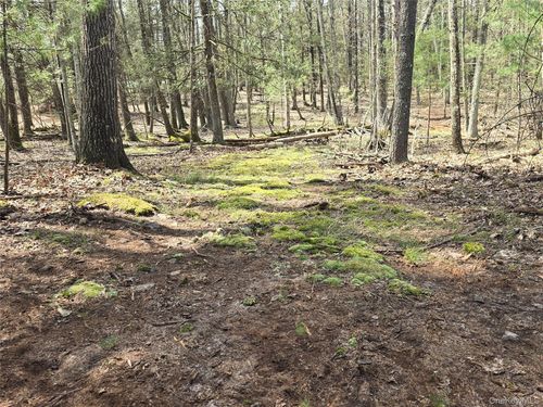 Lot 5 Evergreen Dr, Saugerties, NY, 12477-3265 | Card Image