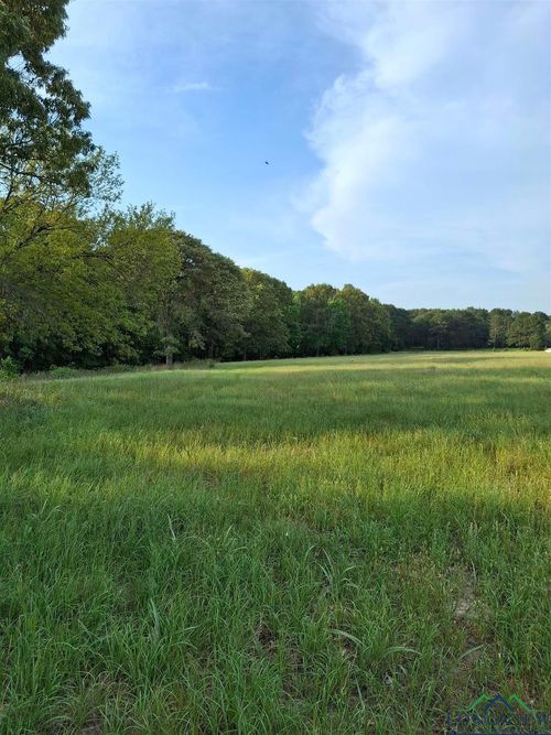 TBD State Highway 315 E, Mount Enterprise, TX, 75681 | Card Image