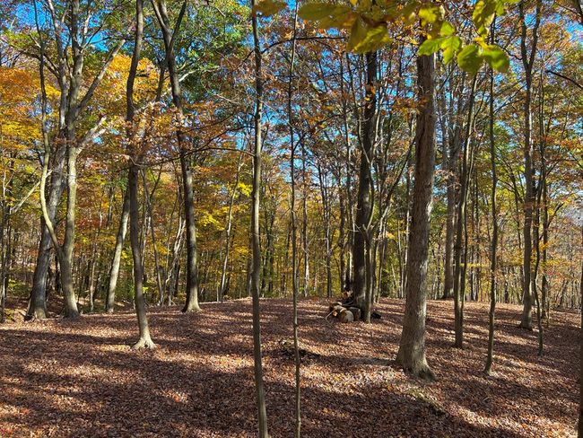 213 S Benner Hill Rd, Home with 3 bedrooms, 1 bathrooms and 1 parking in Bainbridge OH | Image 62