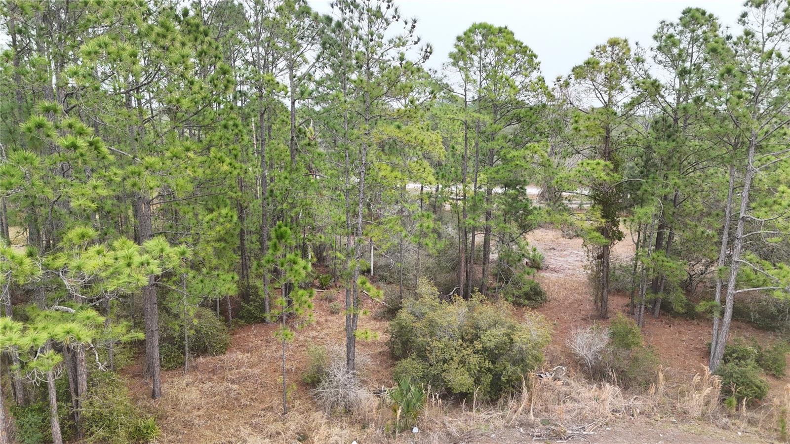 Land in KISSIMMEE 3