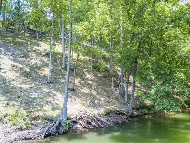 0 Ridge View Dr, Home with 0 bedrooms, 0 bathrooms and null parking in Savannah TN | Image 5