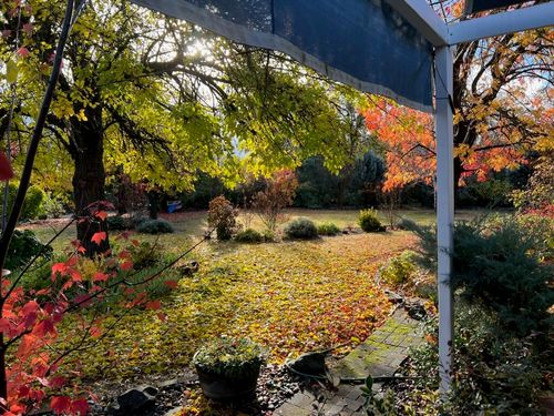 8087 El Pino Dr, Palo Cedro, CA, 96073-9678 | Card Image