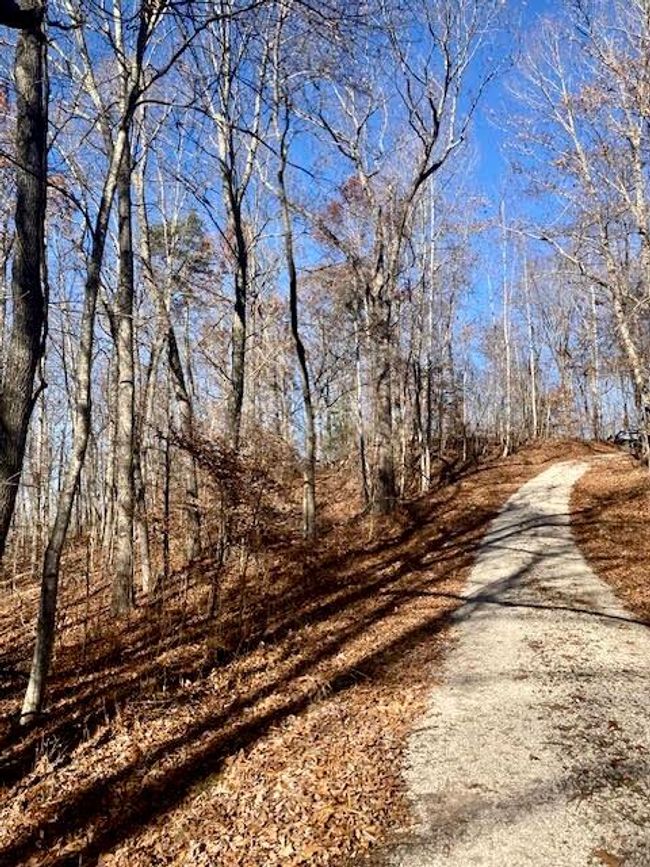 County road runs along property line. | Image 30