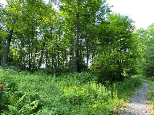 1517 Central Adirondack Trl, Thendara, NY, 13472 | Card Image