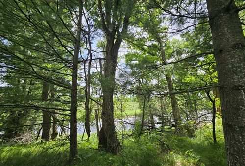 Lot 2 Gaslyn Road, Webster, WI, 54893 | Card Image