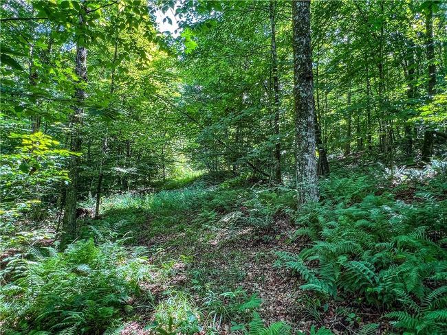 22+ Acres | Image 33