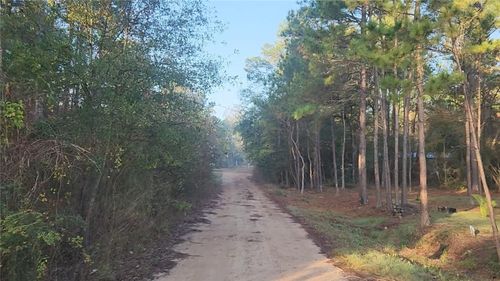 7 Sweetleaf Ln, Plantersville, TX, 77363 | Card Image