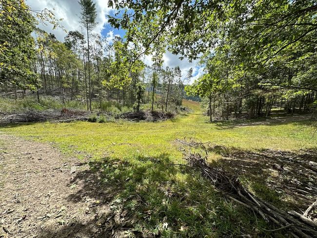 621 Point Pleasant Rd, House other with 2 bedrooms, 1 bathrooms and null parking in BLAND VA | Image 20