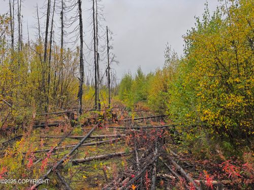 25914 W Rebecca Way, Willow, AK, 99688 | Card Image