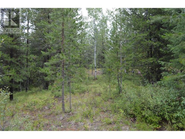 Lot 1 3 Rd St, Home with 0 bedrooms, 0 bathrooms and null parking in Kootenay Boundary BC | Image 12
