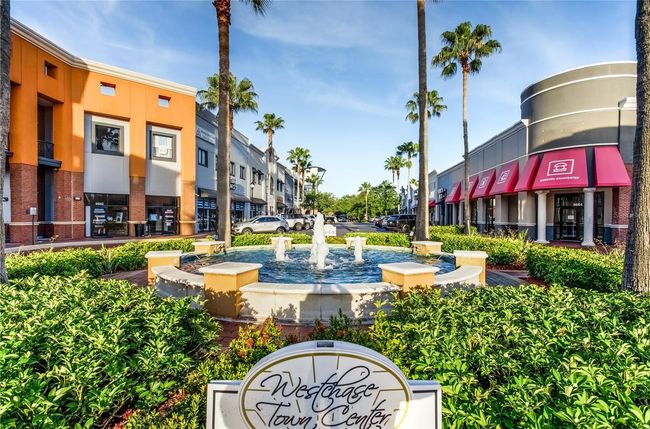 10520 - 10520 White Lake Ct, Condo with 2 bedrooms, 2 bathrooms and null parking in TAMPA FL | Image 32