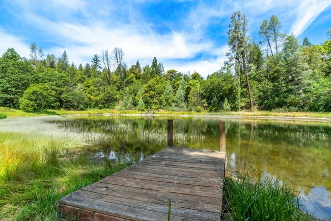 65-web-or-mls-116 | Image 57