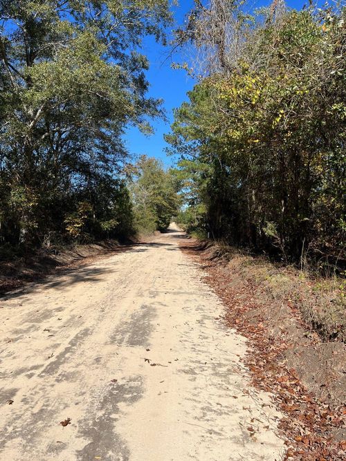 bhl-7-Bhl 7 Boise Cascade Rd, Bethune, SC, 29009 | Card Image