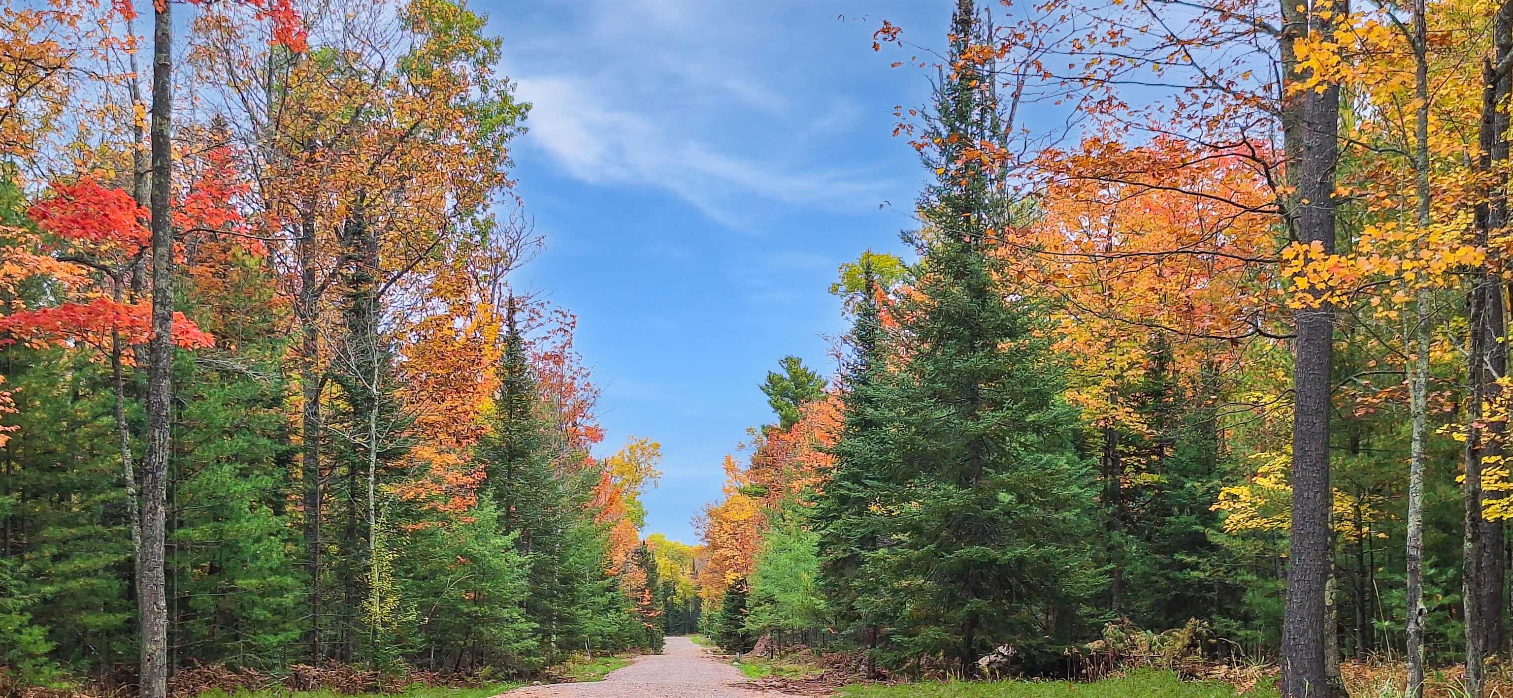 Land in LaPointe 4