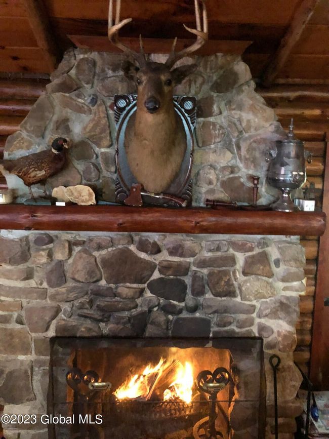 Cozy Fireside! | Image 54