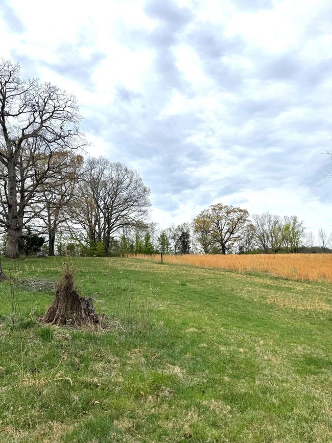 Lot 1 Springhouse Ln | Image 4