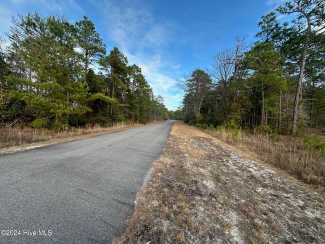 292 S Horsepen Rd, Home with 0 bedrooms, 0 bathrooms and null parking in Harrells NC | Image 8