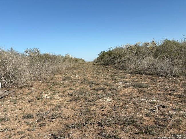 TR102 Frontier A Rd, Home with 0 bedrooms, 0 bathrooms and null parking in Freer TX | Image 14