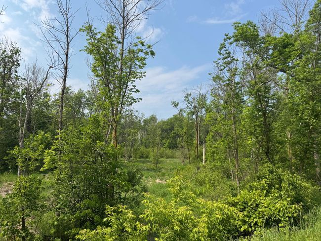 8259 148 Th Ave, House other with 2 bedrooms, 2 bathrooms and null parking in Becker MN | Image 34