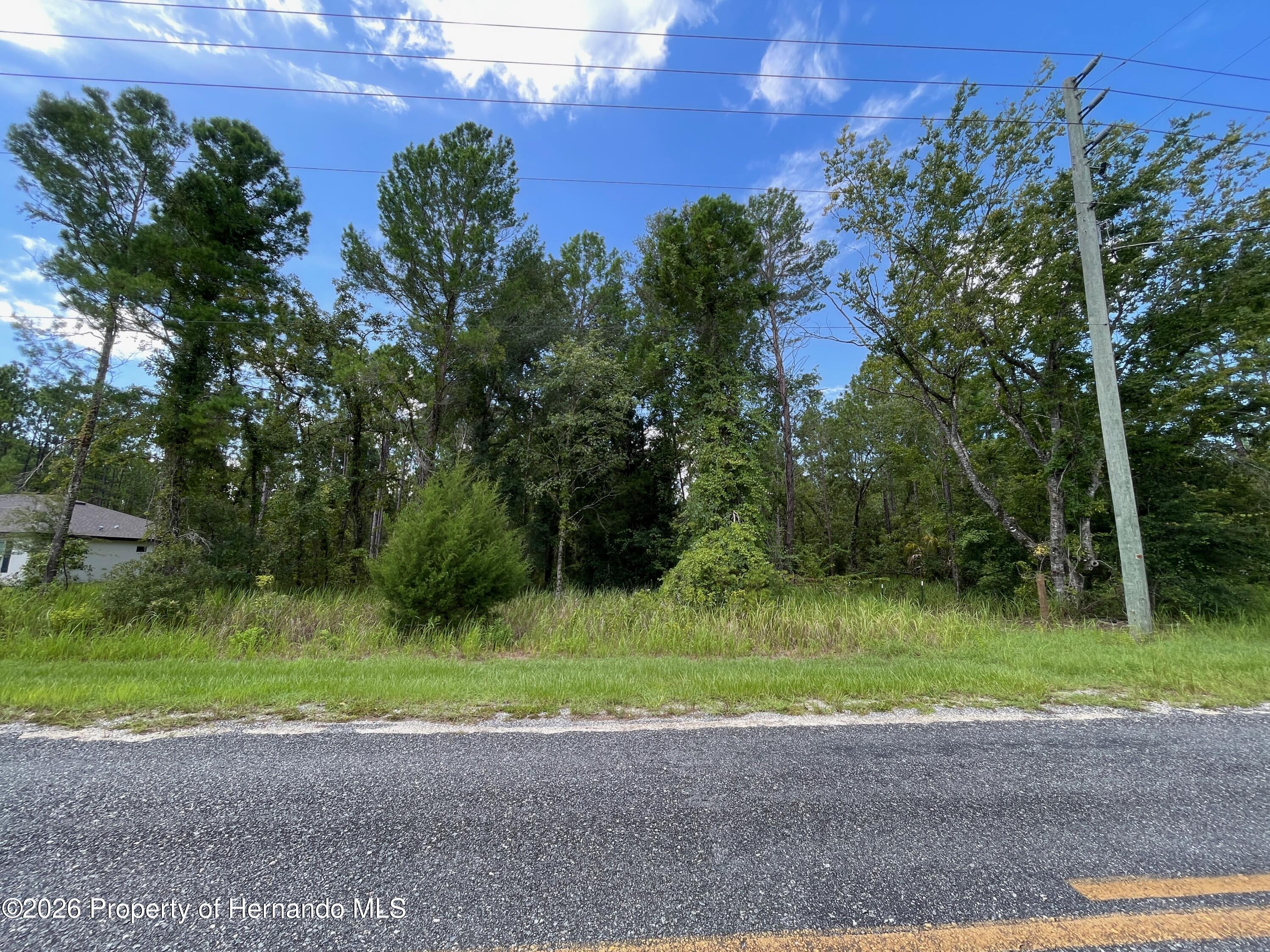 Land in Weeki Wachee 2
