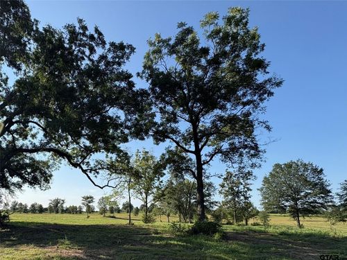 35AC County Road 2425, Como, TX, 75431 | Card Image