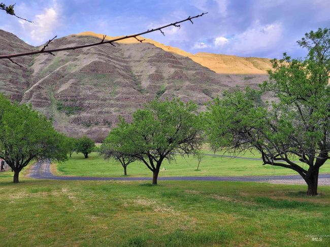 16186 Snake River Rd, House other with 3 bedrooms, 3 bathrooms and null parking in Asotin WA | Image 4