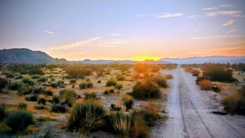 67428 Sullivan Rd, 29 Palms, CA, 92277 | Card Image