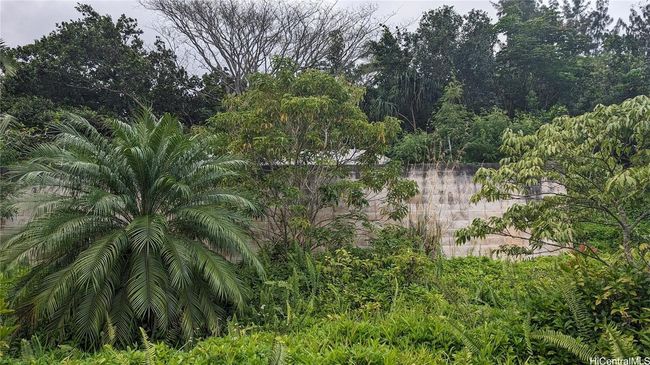 3F - 53-354 Kamehameha Hwy, Home with 0 bedrooms, 0 bathrooms and null parking in Hauula HI | Image 8