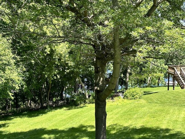 View from the back deck to the greenway. | Image 11