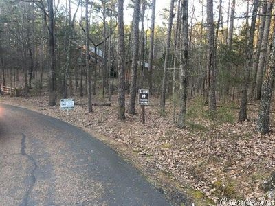 lot 111 Tannenbaum Road, Home with 0 bedrooms, 0 bathrooms and null parking in Drasco AR | Image 1