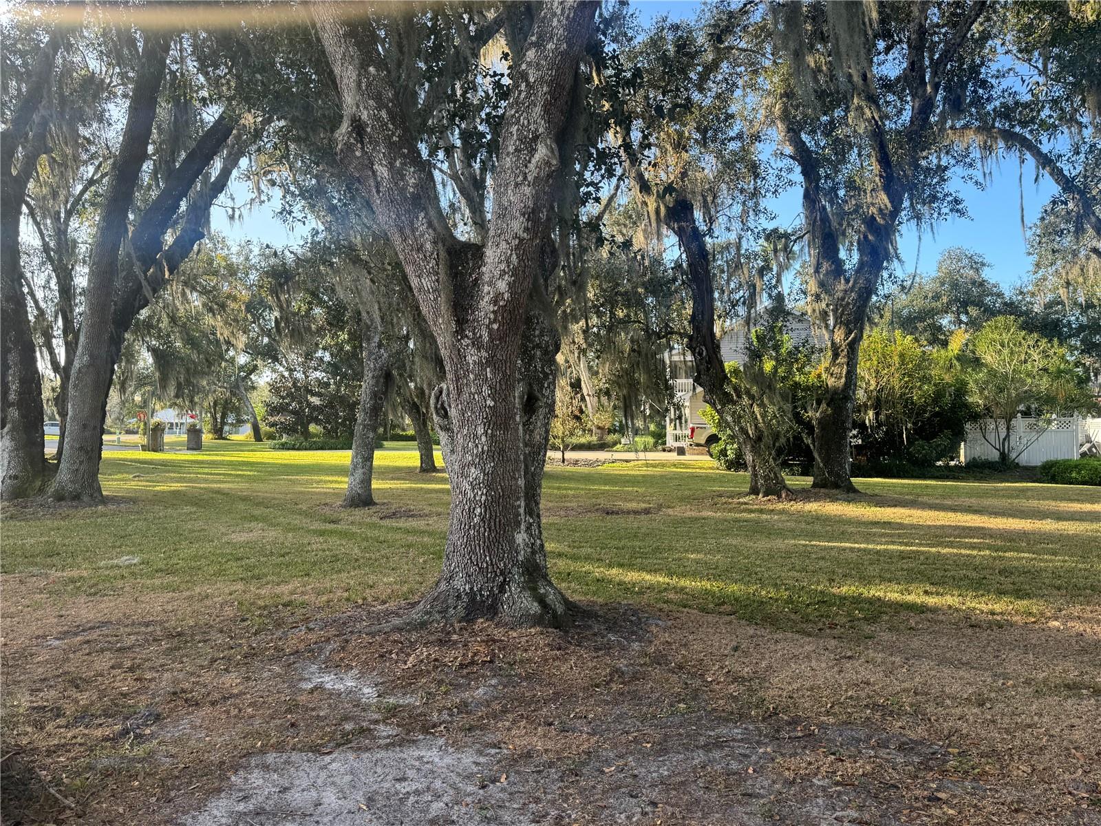 Land in ARCADIA 5