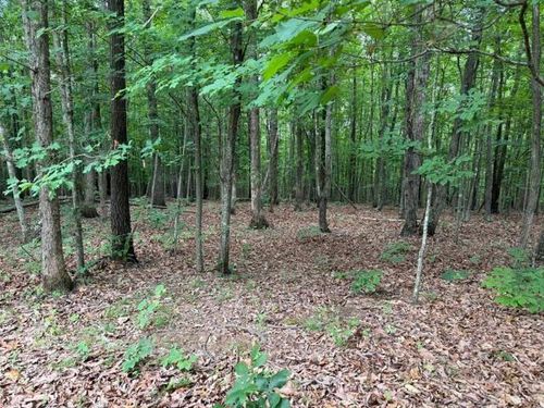 2-2 Redbird Dr, GLADSTONE, VA, 24553 | Card Image